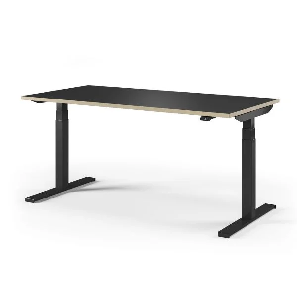 Assmann - Tensos Velo