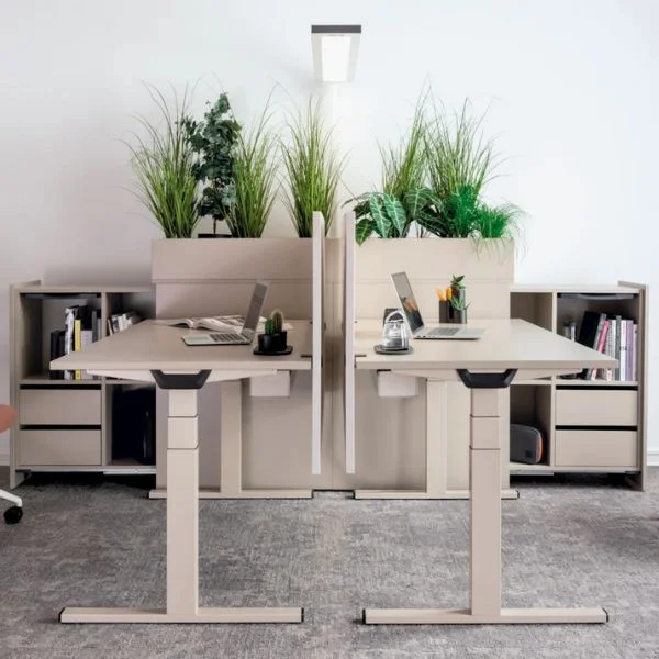 wini-winea-startup-c2