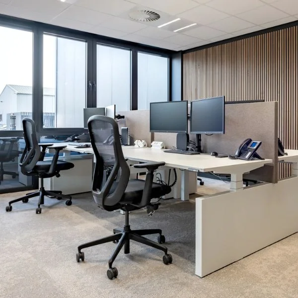 wini-winea-startup-c3