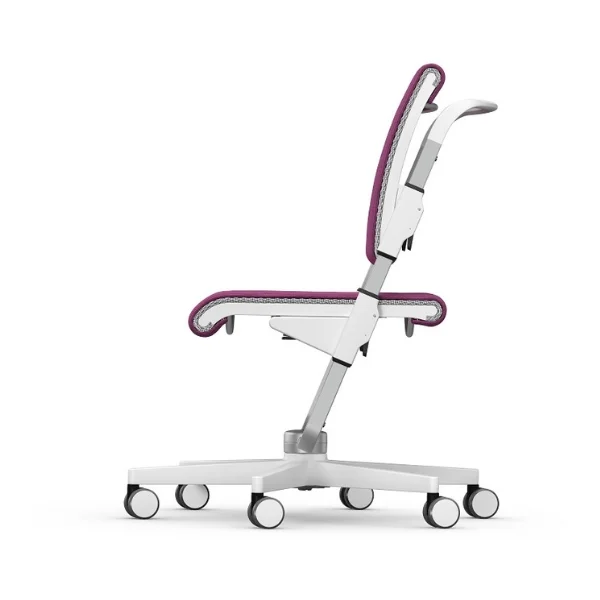 moll-scooter-c2