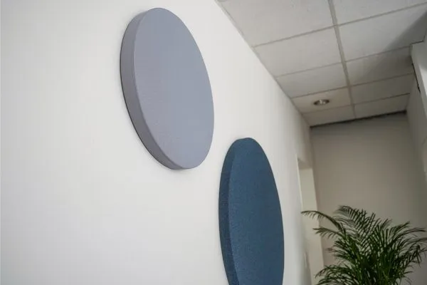 Runde Akustikpaneele in Blau und Grau an einer Wand, daneben eine Zimmerpflanze